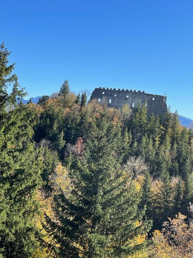 Feriendomizil Ebner-Mayer Pfronten Zewnętrze zdjęcie
